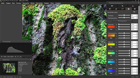 Digital Photo Professional 4 — скачать бесплатно на .